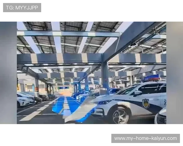 广东英德警车违规使用被确认,法院公布处理结果,英德交警